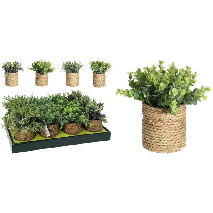 plant-in-seagrass-pot-4ass-1pc-specify-colour-