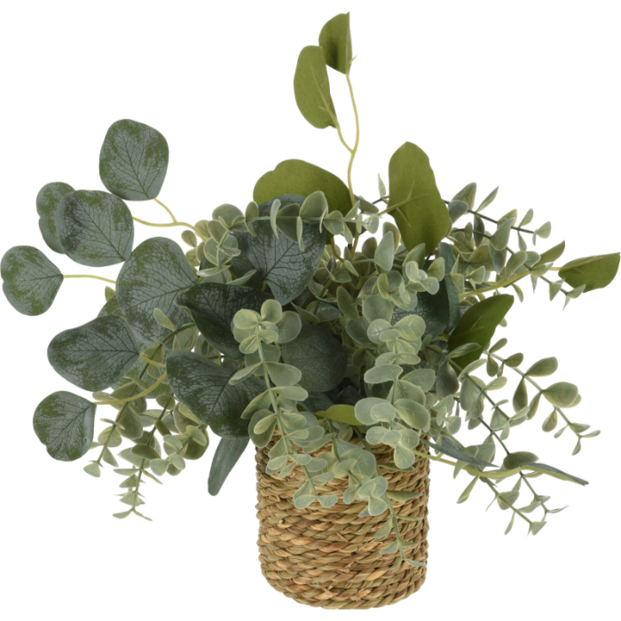 plant-in-basket-25x25x30cm