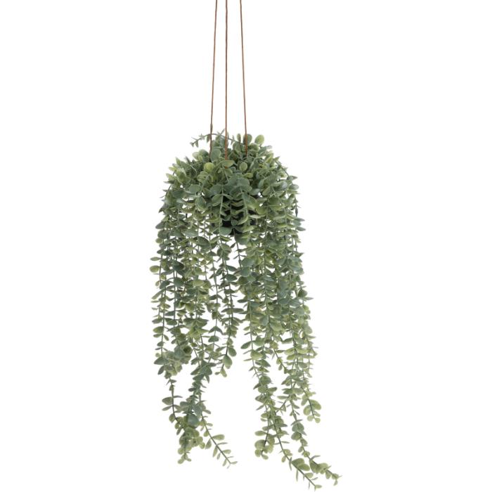 hang-plant-in-pp-pot-60cm