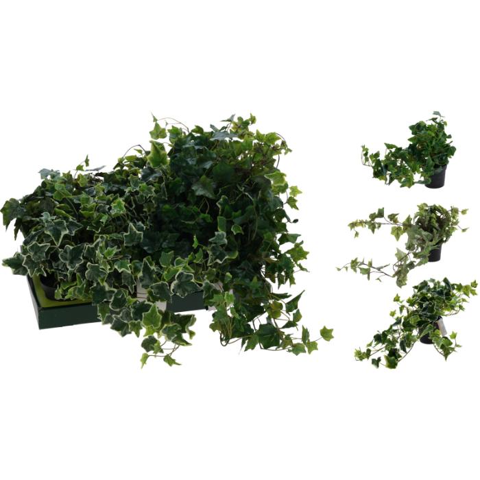 hang-plant-in-pp-pot-80cm