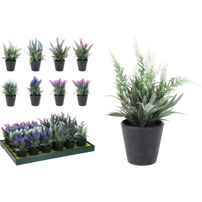 lavender-in-pot-2-assorted-flowers