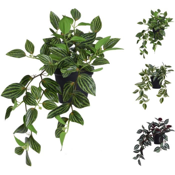 artificial-tradescantia-3ass