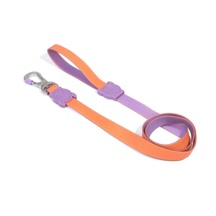 zee-dog-neopro-iris-leash-small