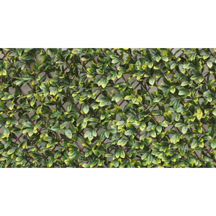 hedge-panelgreen-brixo-trellis-100x200cm