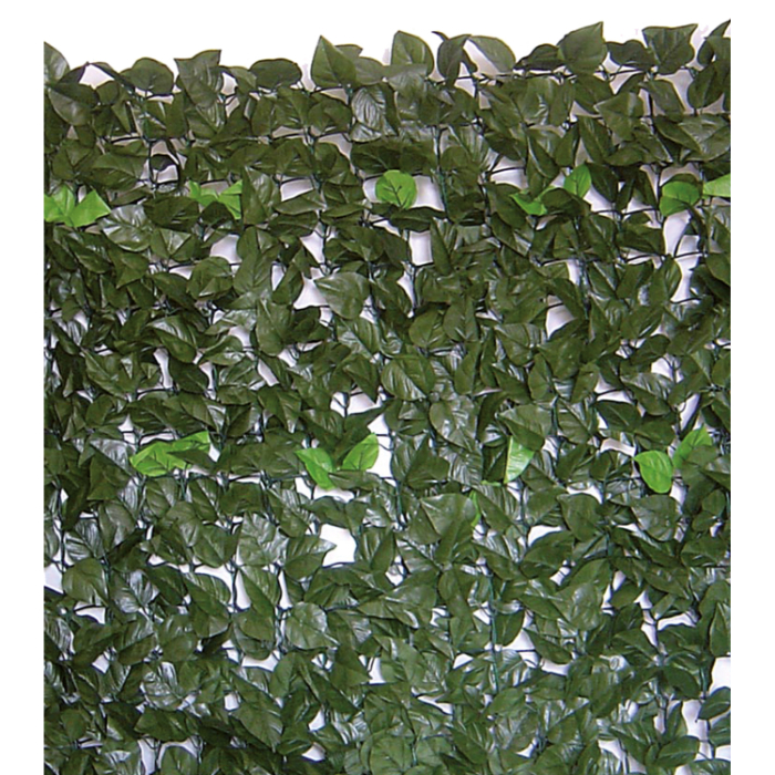 hedge-evergreen-brixo-laurel-1-5x3mt