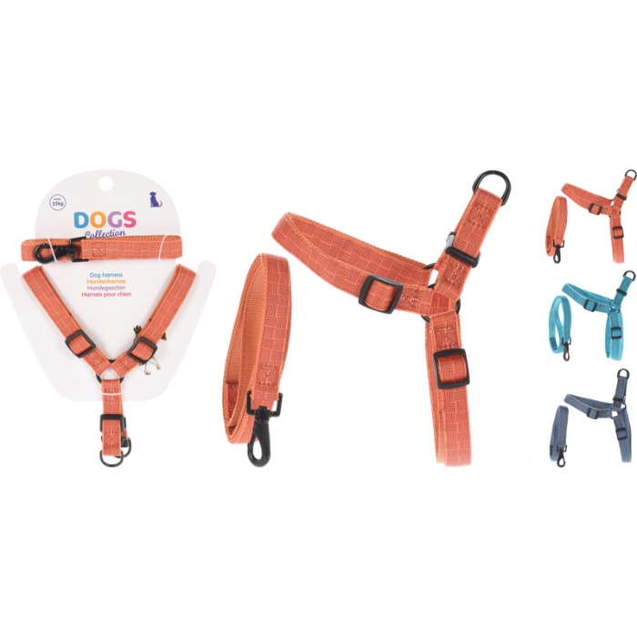 dog-leash-with-harness-3-assorted