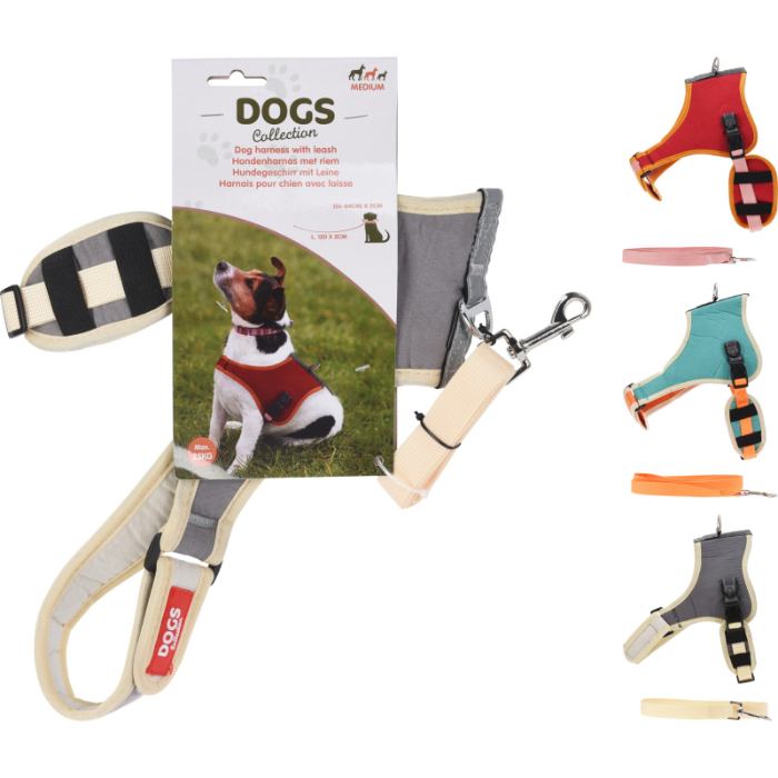 dog-harness-with-leash-3-assorted-large-max-25kg
