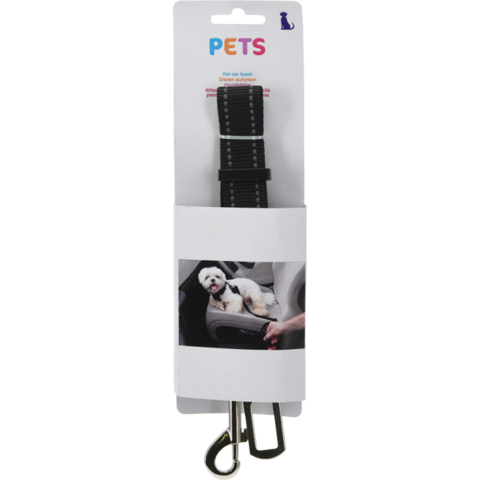 dog-car-leash