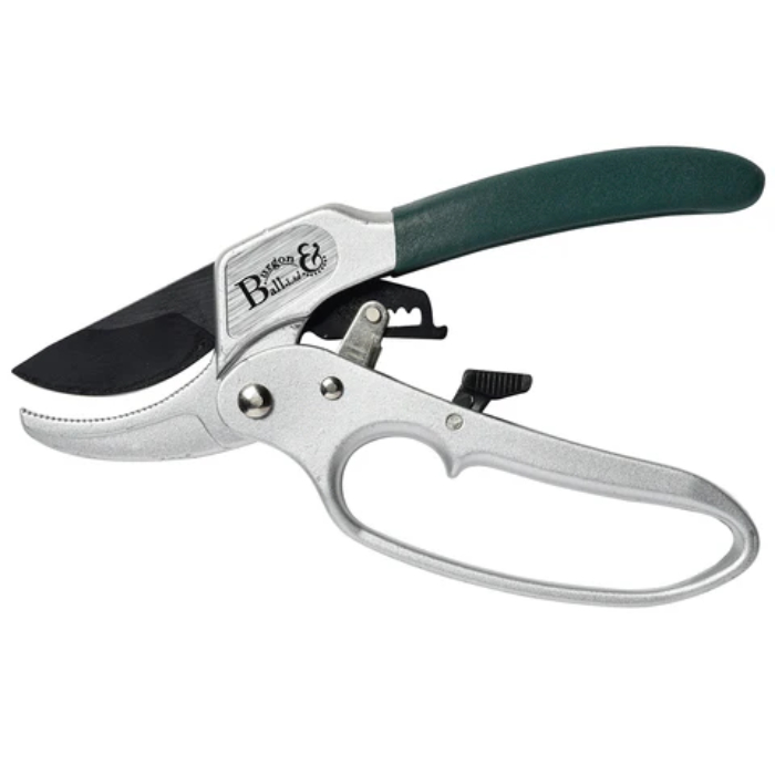 rhs-ratchet-pruner
