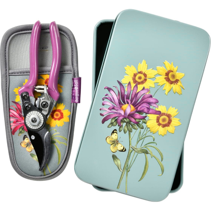 rhs-gift-pruner-and-holster-set-asteraceae