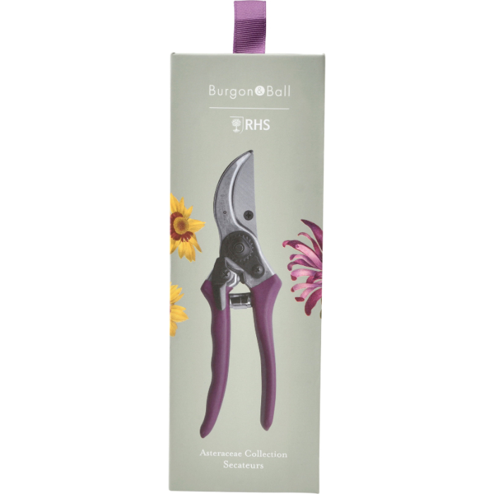 rhs-gift-secateurs-asteraceae