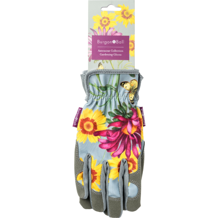 asteraceae-gloves