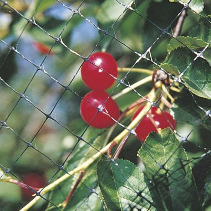 anti-bird-net-2x5m