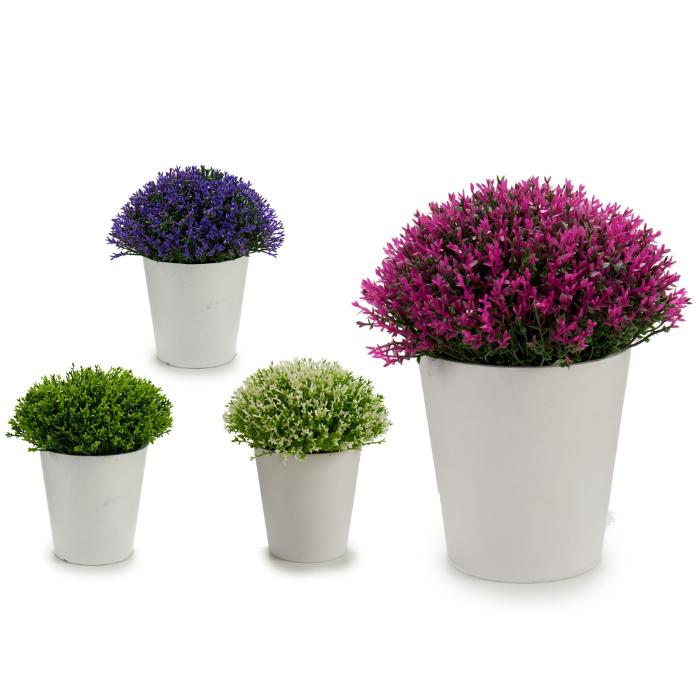 potted-mini-flowers-white-dots-mix-4-col