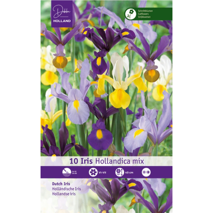 dh-10-iris-hollandica-mischung