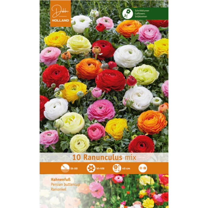 dh-10-ranunculus-mischung