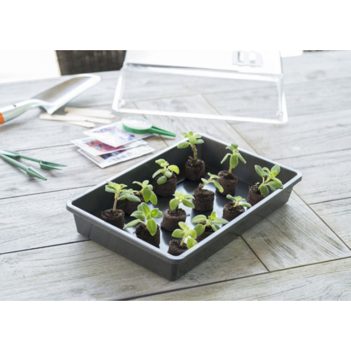 seed-tray-h6-x-37-5-x-24-cm-anthracite