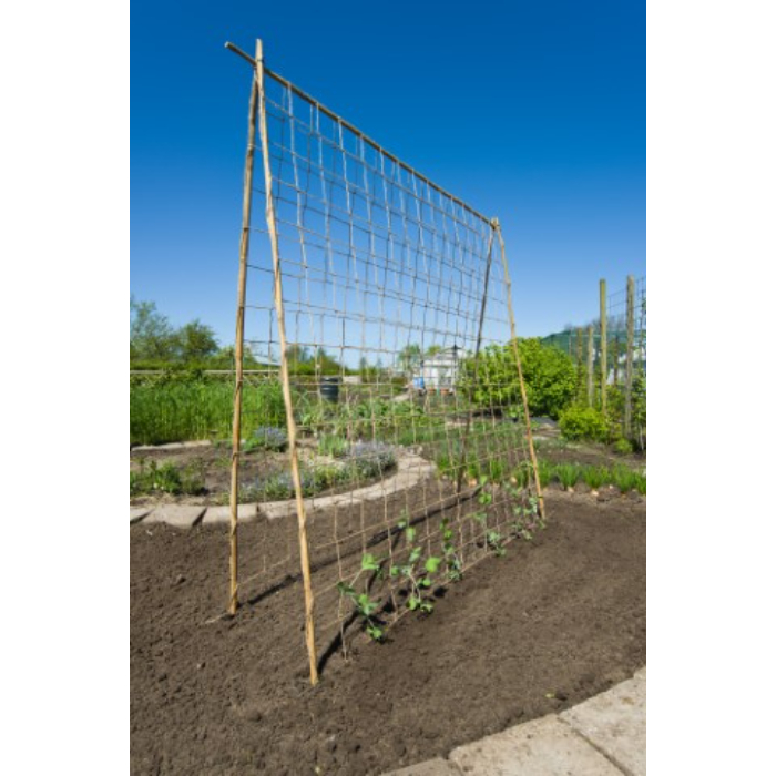 nature-plant-climbing-netting-jute