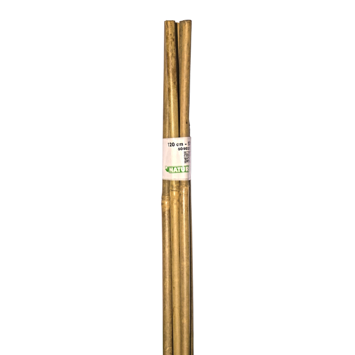 nature-bamboo-cane-natural-h120cm-pack-of-5