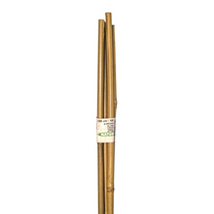 nature-bamboo-cane-natural-h150cm-pack-of-4