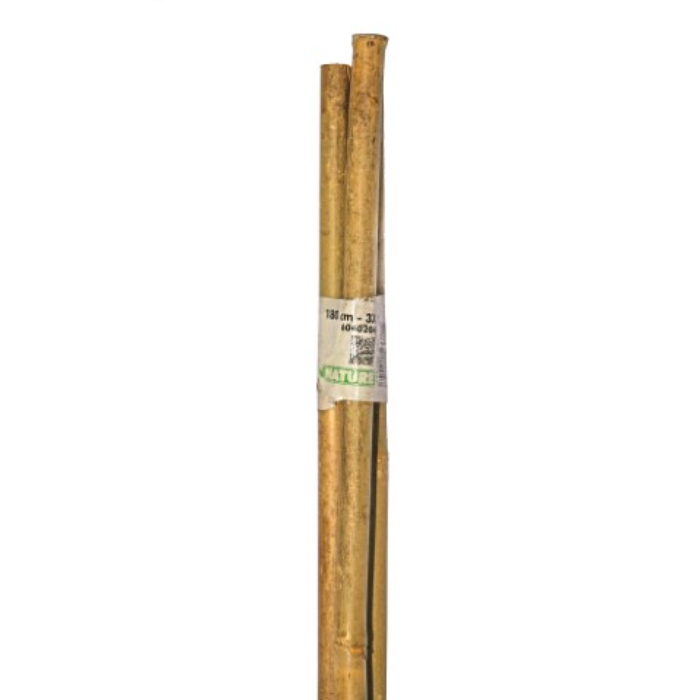 nature-bamboo-cane-natural-h180cm-pack-of-3