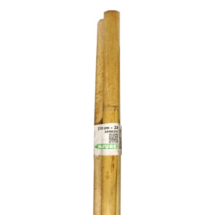 nature-bamboo-cane-natural-h210cm-pack-of-3