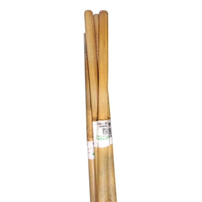 nature-bamboo-cane-natural-h240cm-pack-of-3