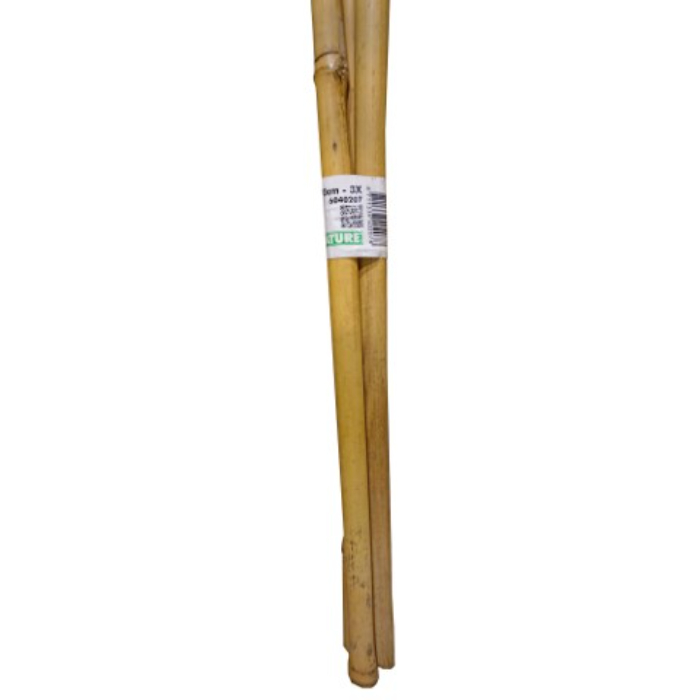 nature-bamboo-cane-natural-h270cm-pack-of-3