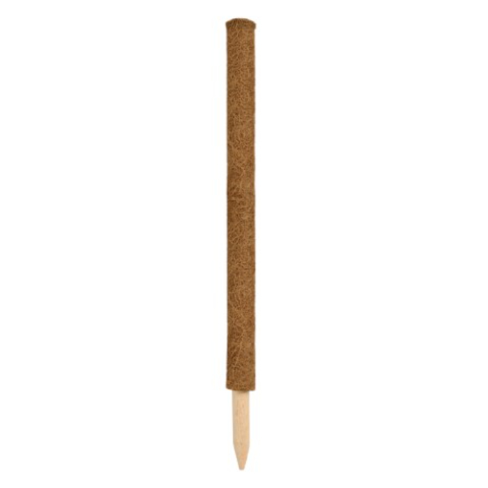nature-coco-fiber-pole-h60cm
