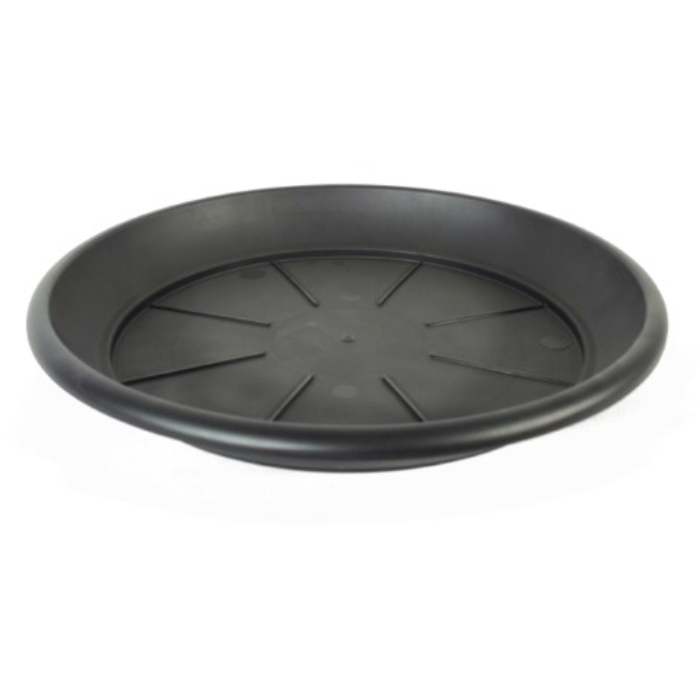 nature-saucer-black