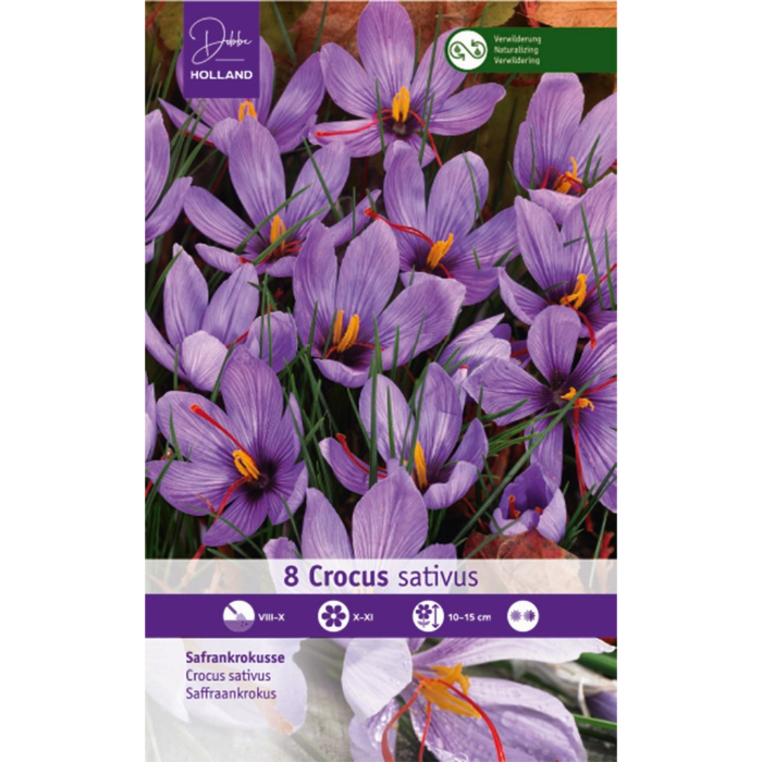 dh-8-crocus-sativus