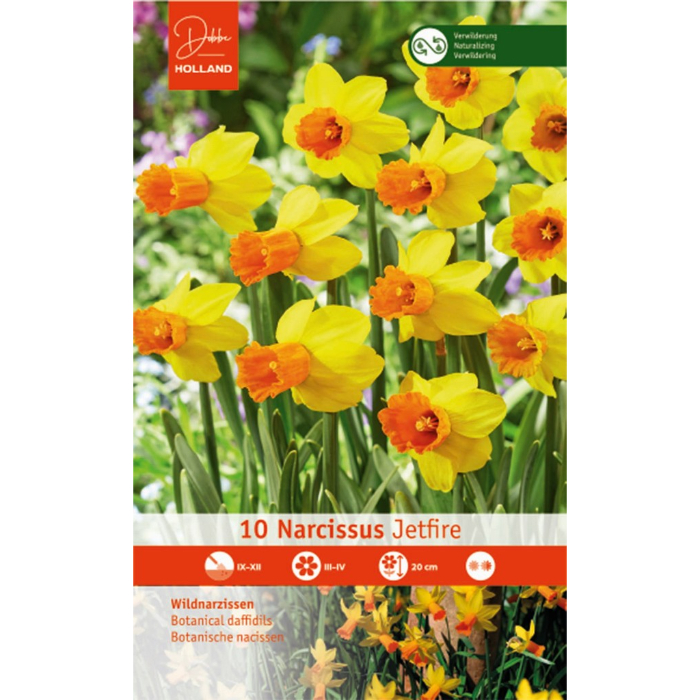 dh-10-narcissus-jetfire