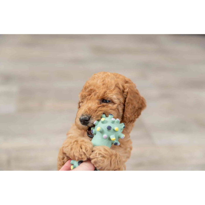 junior-mini-dumbbell-soundless-latex-10-cm