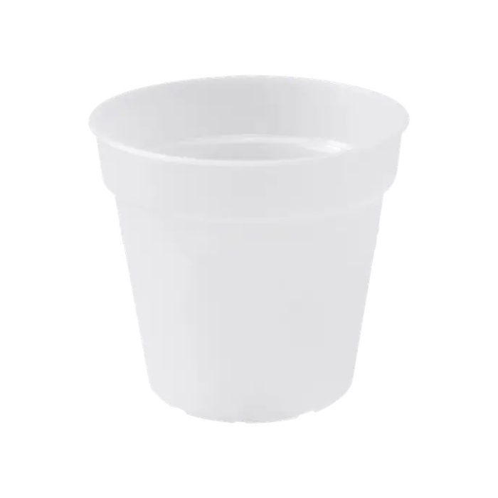 green-basics-orchid-13cm-transparent-transparent