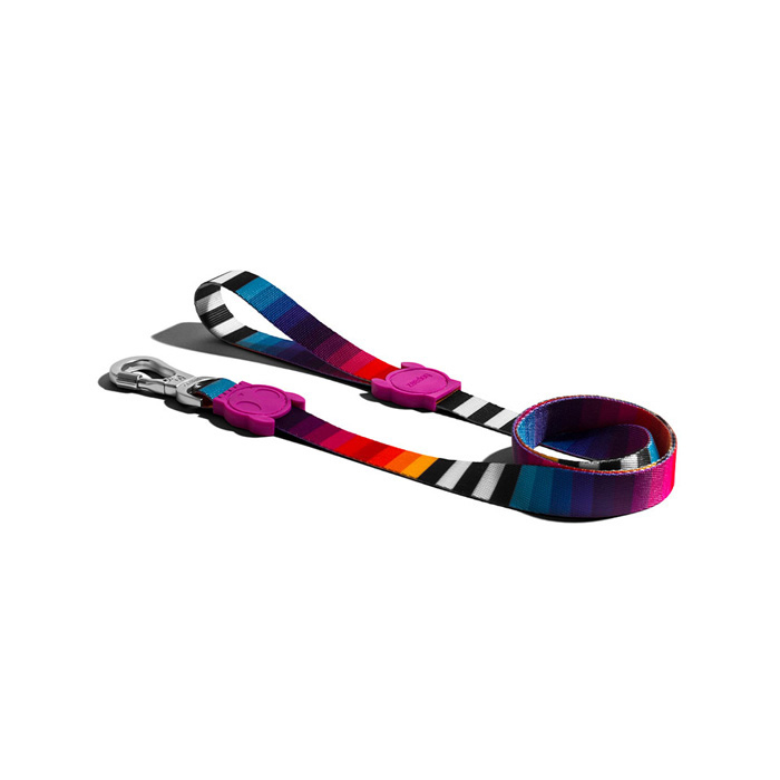 zee-dog-prisma-leash-small