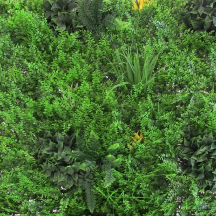 vertical-evergreen