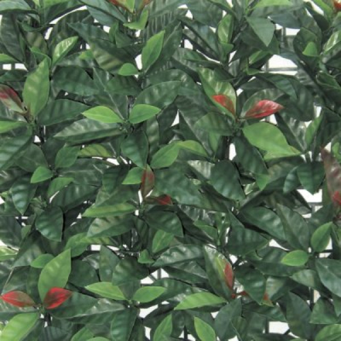 evergreen-redplast-1x1m