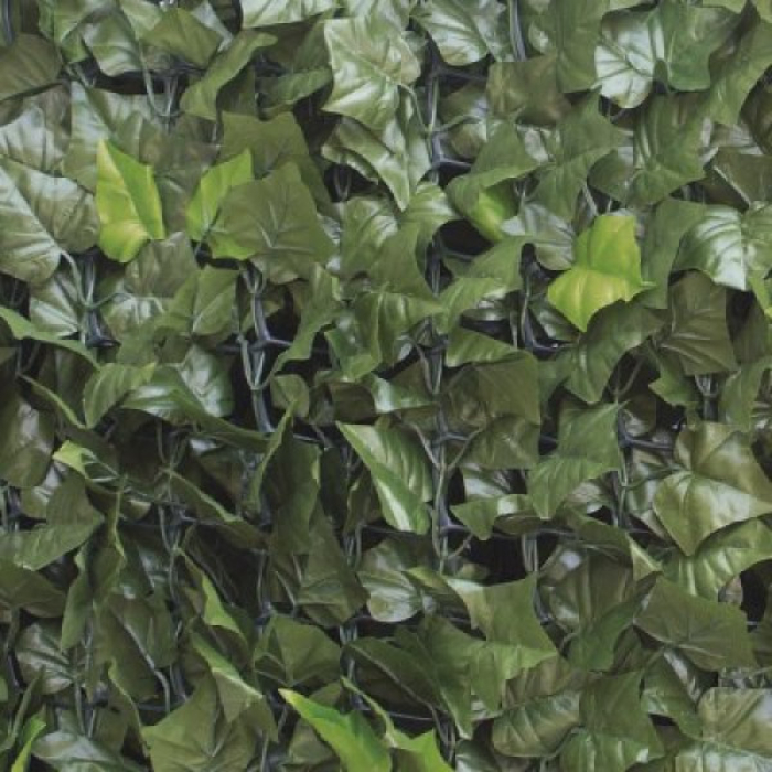 evergreen-ivy-leaves-point-1-5x3m