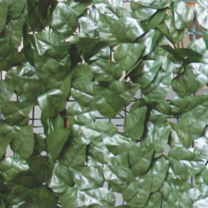 evergreen-leaves-laurel-point-1x3m
