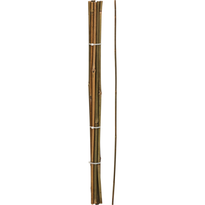 bamboo-garden-stick-set-10pcs-l61-5cm
