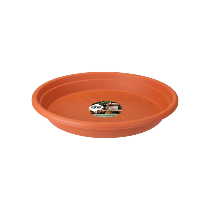 universal-saucer-round-21cm-terra