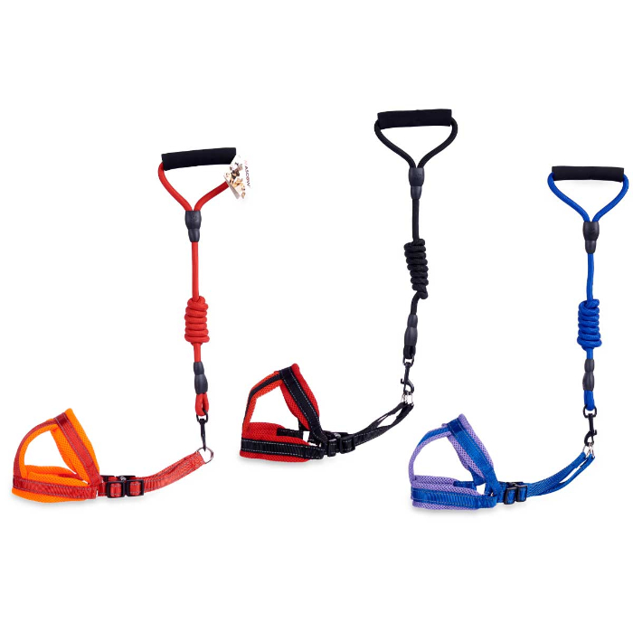 dog-medium-lead-with-harness-set-3-assorted