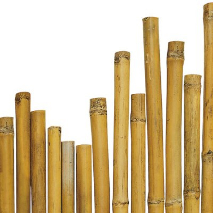 bamboo-cane-2426-210cm