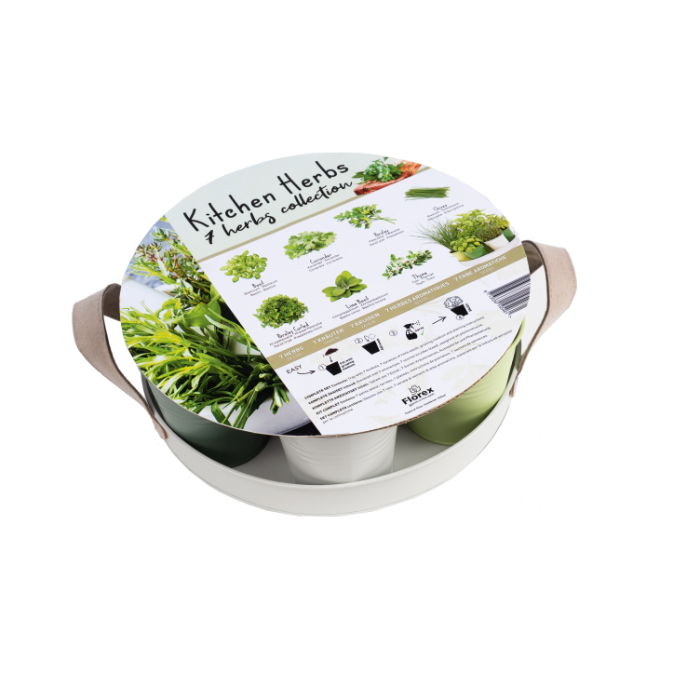 xl-collection-7-kitchen-herbs