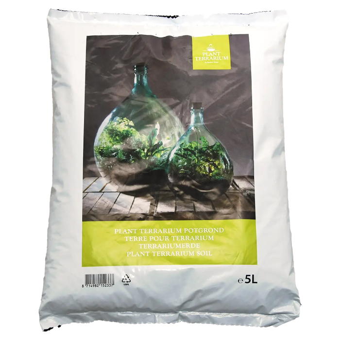 plant-terrarium-soil