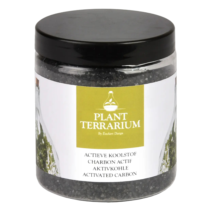 plant-terrarium-activated-charcoal