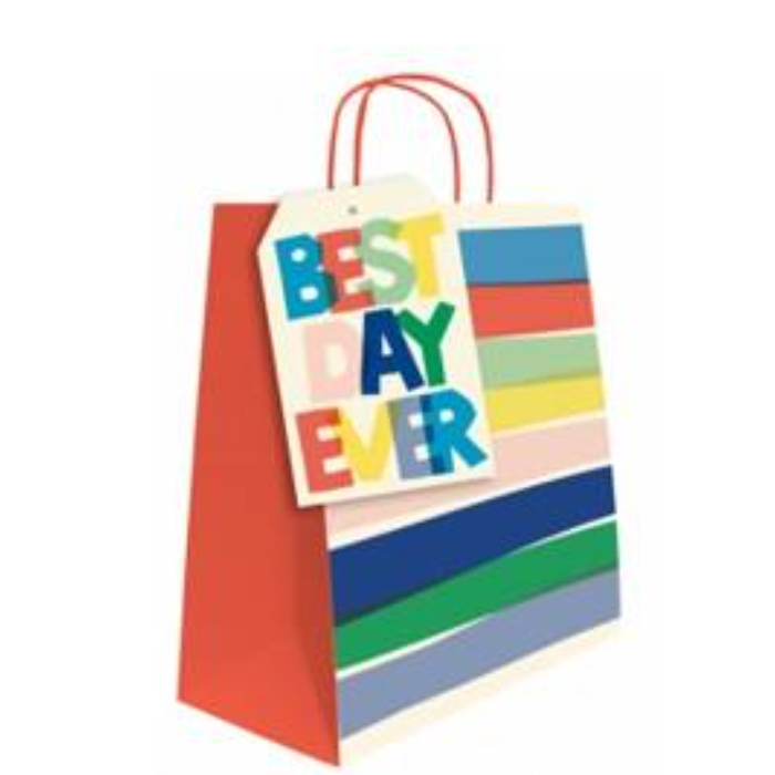 lrg-bag-best-day-ever