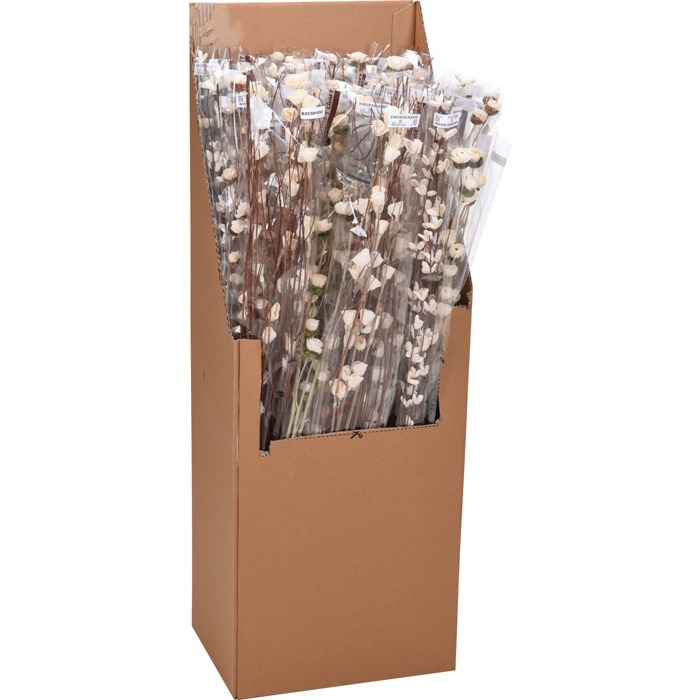 tree-branch-softwood-flowers