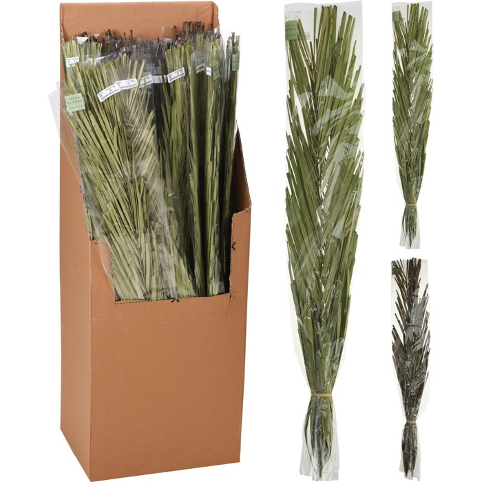 promo-khajur-leaves-100cm-3-assorted-1pc-specify-colour-