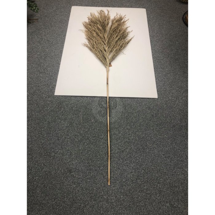 deco-stem-150cm-brown